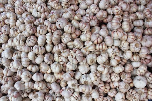 Background of garlic pattern on Thailand market