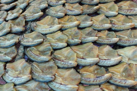 Background of dried snake-head fish show for sell at Thailand market