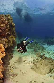 Scuba Diver exploring a reef in Kona Hawaii