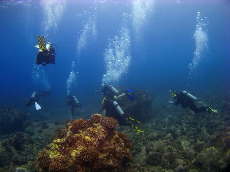 Divers departing on a Dive in Kona Hawaii