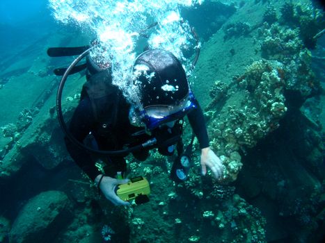 Scuba Diving on a sunken Wharf in Maui Hawaii