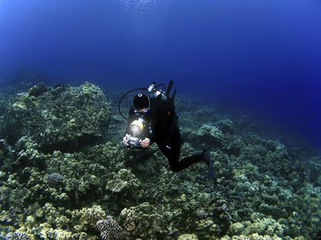 Woman Underwater Photographer Scuba Diving on a reef in Kona