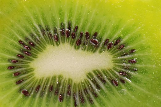 texture of a kiwi fruit