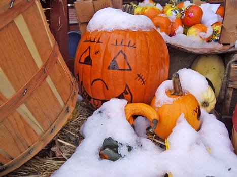 Pile of pumpkins with snow in fall