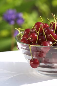 fruit still life: sweet cherry in the glassy bowl
