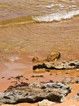 Detail of the waters edge on a tropical beach reef