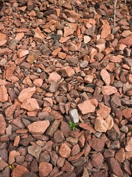 Crushed red rock footpath between houses
