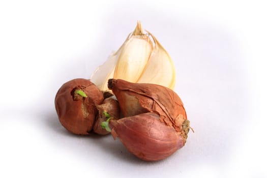 Some Small onion &amp; garlic on white background.