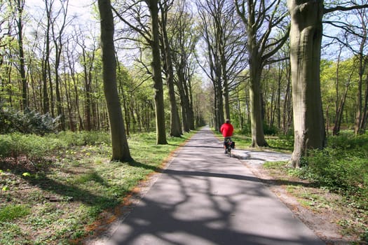 Bicycle path and cyclist in the woods
