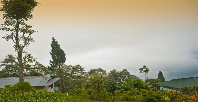 Rishop Landscape
