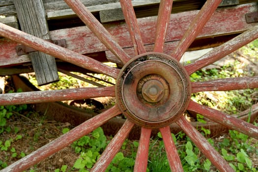 A Old weathered red wagon wheel