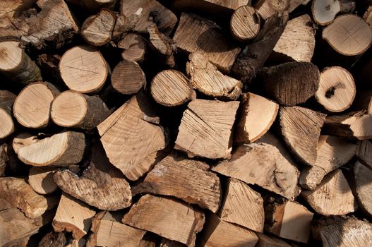 A large collection of stacked, chopped logs outside in full sunlight