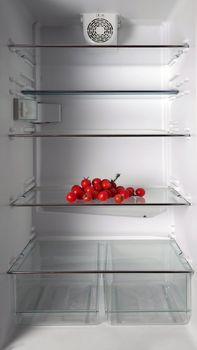 Empty refrigerator with fresh tomatos