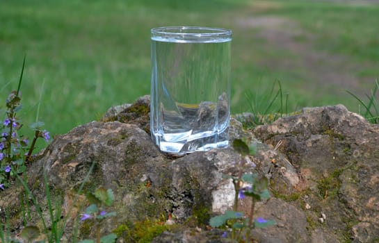 Living structured water in a transparent glass beaker