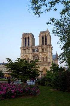 Notre dame da Paris with greenery in front