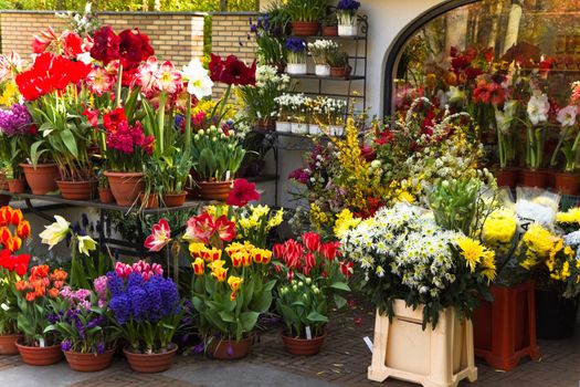 Decorative collection of colorful spring flowers outside a florist shop