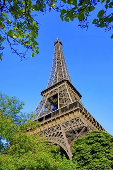 Eiffel tower seen from below with greeneries decorating