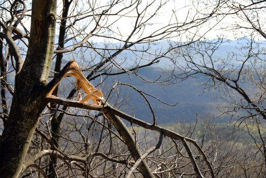 broken black leafless tree branch over natural landscape