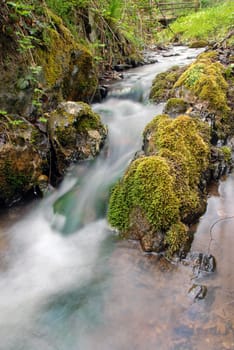 stream between stones in green forest landscape