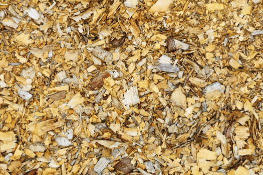 Natural background - an old wood brown shavings