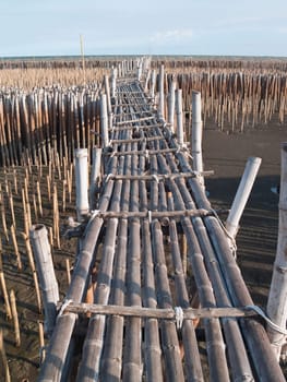 Bamboo bridge in mangrove educational center on the east coast of Maharchai bay, Maharchai , Samut Sakhon, Thailand