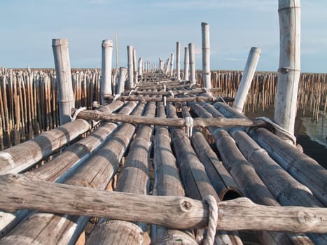 Bamboo bridge in mangrove educational center on the east coast of Maharchai bay, Maharchai , Samut Sakhon, Thailand