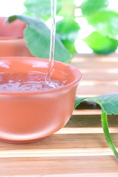 tea tree oil for the skin care on a white background