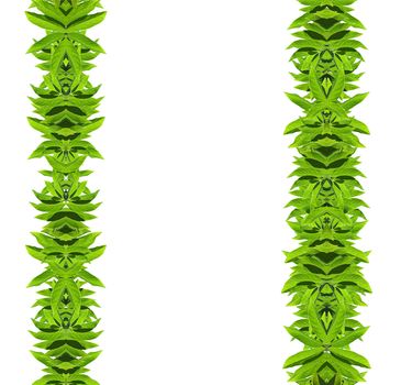 Natural green leaf frame on white background