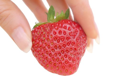 ripe strawberries in the fingers of a girl