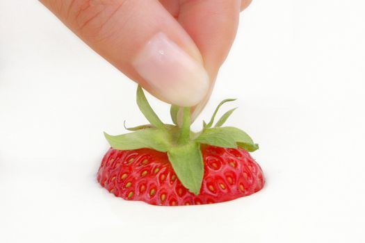 ripe strawberries in the fingers of a girl 