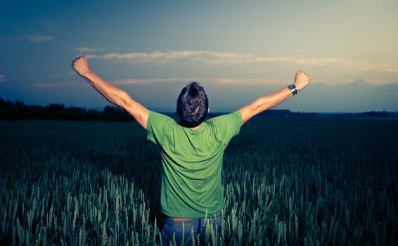 Young man enjoying his freedom/rejoicing from his success in the countryside, in a wheat field at dusk (color toned image)