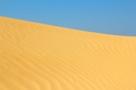 sand dune with small animals tracks