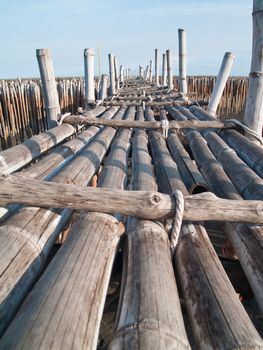 Bamboo bridge in mangrove educational center on the east coast of Maharchai bay, Maharchai , Samut Sakhon, Thailand