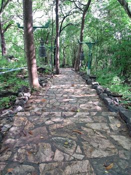 Old staircase among nature through pass forest