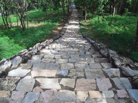 Old staircase among nature through pass forest