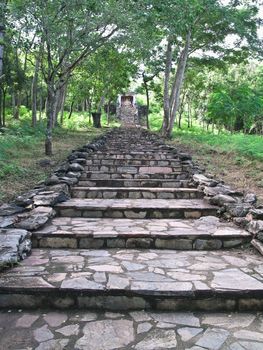 Old staircase among nature through pass forest