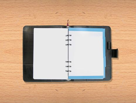 Luxurious deep brown leather organizer with blank page for your work