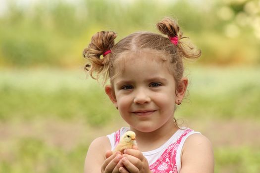 young girl holding yellow little chicken