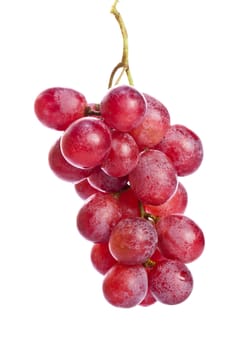 Fresh red grapes on white background