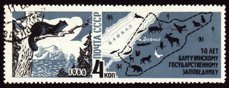 Postage stamp printed in USSR shows 50-year anniversary of Barguzinsky reserve on Baikal lake, map of Baikal region, sable 

on tree branch