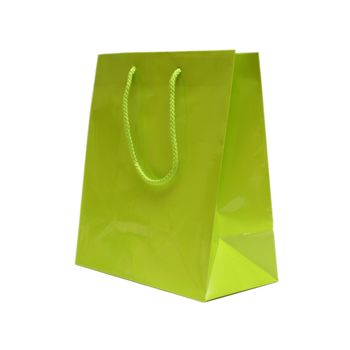 An isolated shot of a green gift bag to put that special gift in.