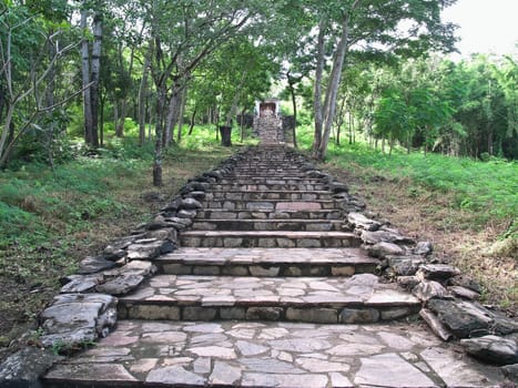 Old staircase among nature through pass forest