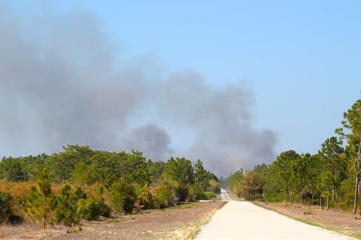 Clouds of smoke rise high from a wildfire in central Florida.