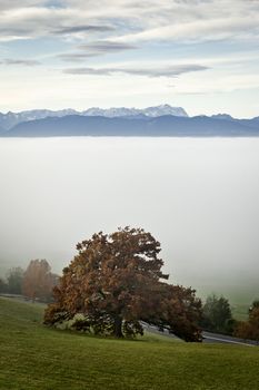 An image of a nice autumn landscape with the alps in the background