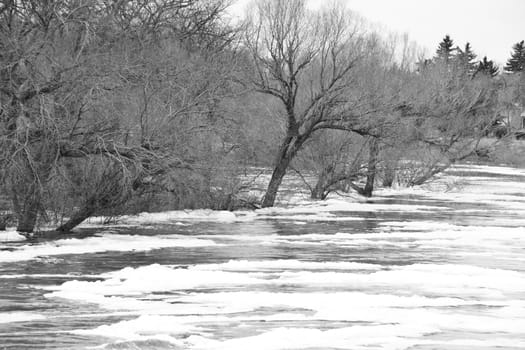 Flood caused by water rising due to melting snow in Regina Canada