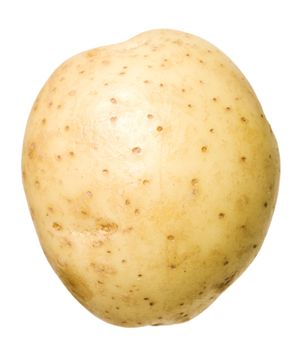 Raw Potato isolated on white background