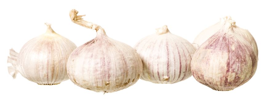 Bunch of  Garlic isolated on white Background