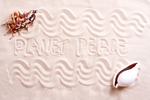 seashells in sand with text as a background