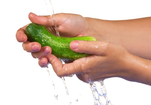 wash the cucumber in the hands isolated on white background