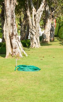 water hose  on the lawn